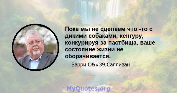 Пока мы не сделаем что -то с дикими собаками, кенгуру, конкурируя за пастбища, ваше состояние жизни не оборачивается.