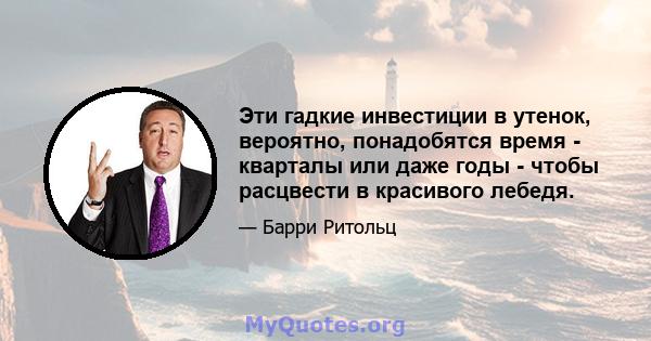 Эти гадкие инвестиции в утенок, вероятно, понадобятся время - кварталы или даже годы - чтобы расцвести в красивого лебедя.