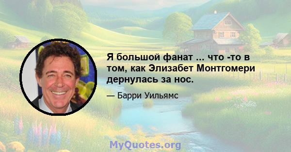 Я большой фанат ... что -то в том, как Элизабет Монтгомери дернулась за нос.