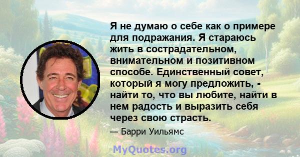 Я не думаю о себе как о примере для подражания. Я стараюсь жить в сострадательном, внимательном и позитивном способе. Единственный совет, который я могу предложить, - найти то, что вы любите, найти в нем радость и