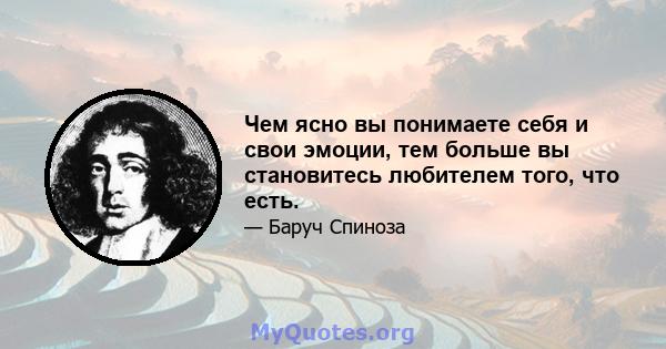 Чем ясно вы понимаете себя и свои эмоции, тем больше вы становитесь любителем того, что есть.