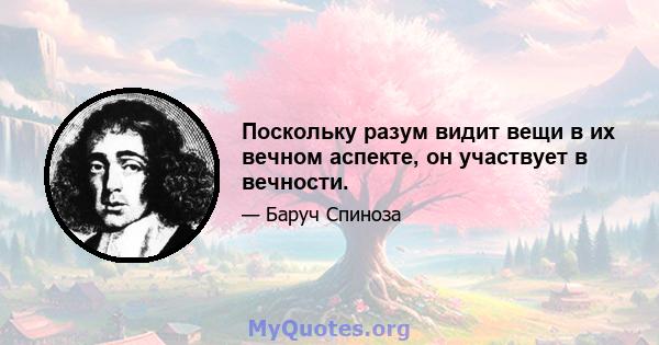 Поскольку разум видит вещи в их вечном аспекте, он участвует в вечности.