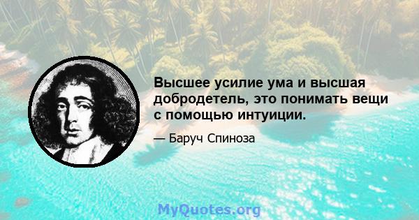 Высшее усилие ума и высшая добродетель, это понимать вещи с помощью интуиции.