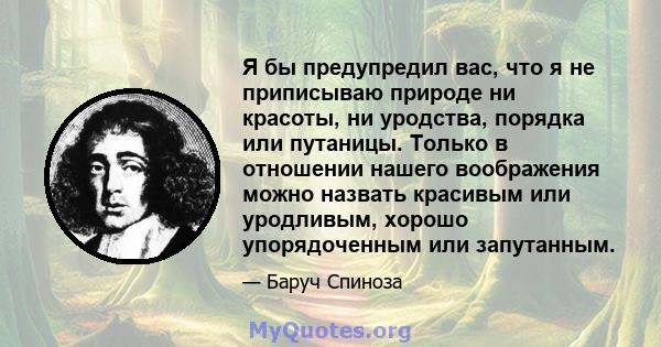 Я бы предупредил вас, что я не приписываю природе ни красоты, ни уродства, порядка или путаницы. Только в отношении нашего воображения можно назвать красивым или уродливым, хорошо упорядоченным или запутанным.