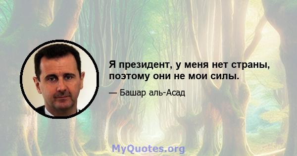 Я президент, у меня нет страны, поэтому они не мои силы.