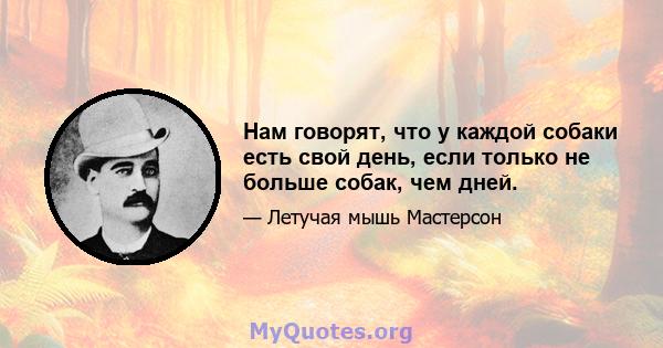 Нам говорят, что у каждой собаки есть свой день, если только не больше собак, чем дней.