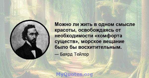 Можно ли жить в одном смысле красоты, освобождаясь от необходимости «комфорта существ», морское вещание было бы восхитительным.