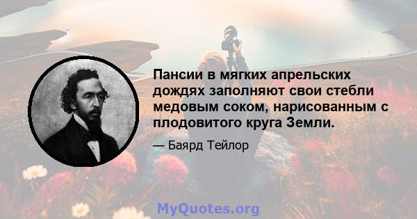 Пансии в мягких апрельских дождях заполняют свои стебли медовым соком, нарисованным с плодовитого круга Земли.