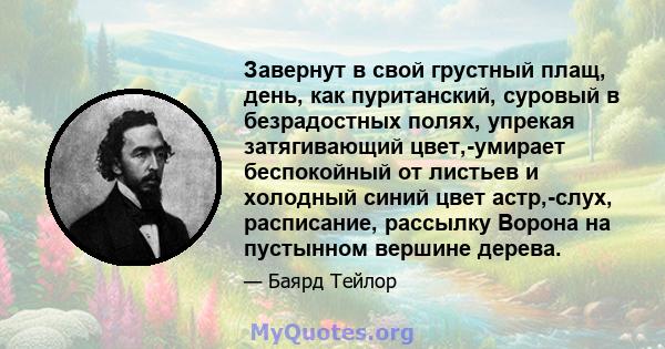 Завернут в свой грустный плащ, день, как пуританский, суровый в безрадостных полях, упрекая затягивающий цвет,-умирает беспокойный от листьев и холодный синий цвет астр,-слух, расписание, рассылку Ворона на пустынном