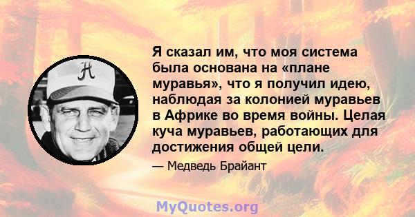 Я сказал им, что моя система была основана на «плане муравья», что я получил идею, наблюдая за колонией муравьев в Африке во время войны. Целая куча муравьев, работающих для достижения общей цели.