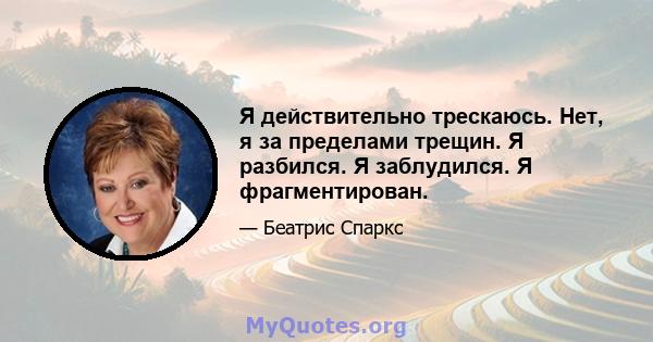 Я действительно трескаюсь. Нет, я за пределами трещин. Я разбился. Я заблудился. Я фрагментирован.