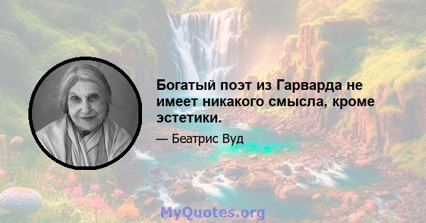 Богатый поэт из Гарварда не имеет никакого смысла, кроме эстетики.