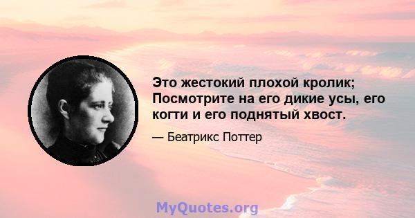 Это жестокий плохой кролик; Посмотрите на его дикие усы, его когти и его поднятый хвост.