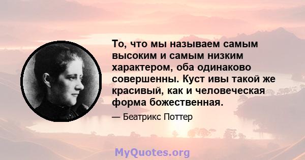 То, что мы называем самым высоким и самым низким характером, оба одинаково совершенны. Куст ивы такой же красивый, как и человеческая форма божественная.