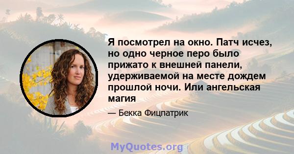 Я посмотрел на окно. Патч исчез, но одно черное перо было прижато к внешней панели, удерживаемой на месте дождем прошлой ночи. Или ангельская магия