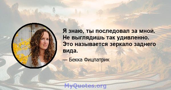 Я знаю, ты последовал за мной. Не выглядишь так удивленно. Это называется зеркало заднего вида.