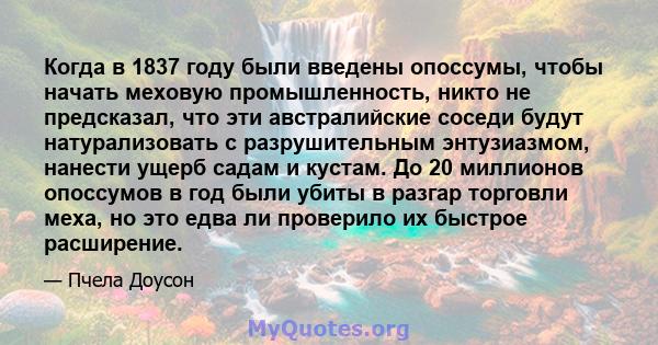 Когда в 1837 году были введены опоссумы, чтобы начать меховую промышленность, никто не предсказал, что эти австралийские соседи будут натурализовать с разрушительным энтузиазмом, нанести ущерб садам и кустам. До 20