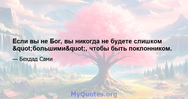 Если вы не Бог, вы никогда не будете слишком "большими", чтобы быть поклонником.