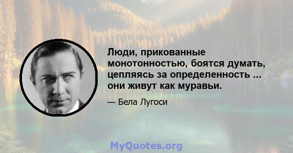 Люди, прикованные монотонностью, боятся думать, цепляясь за определенность ... они живут как муравьи.