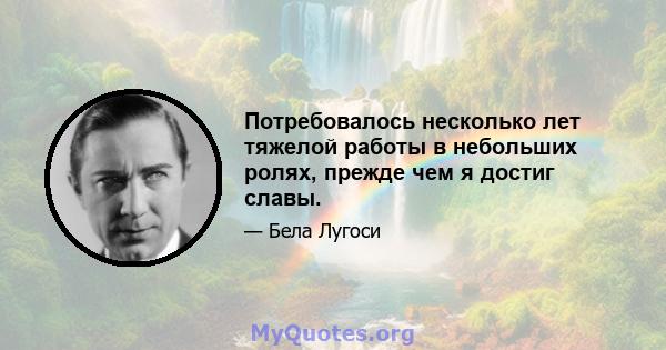 Потребовалось несколько лет тяжелой работы в небольших ролях, прежде чем я достиг славы.