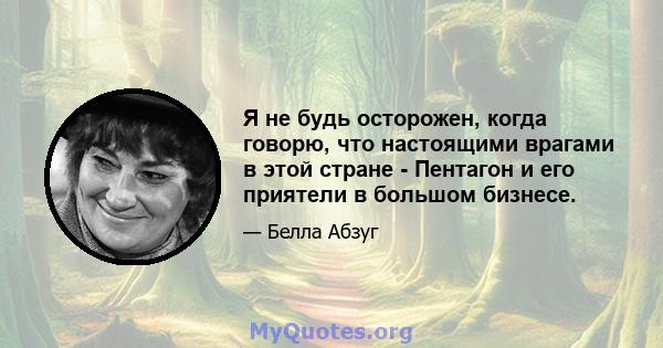 Я не будь осторожен, когда говорю, что настоящими врагами в этой стране - Пентагон и его приятели в большом бизнесе.