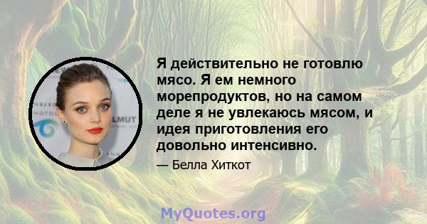 Я действительно не готовлю мясо. Я ем немного морепродуктов, но на самом деле я не увлекаюсь мясом, и идея приготовления его довольно интенсивно.