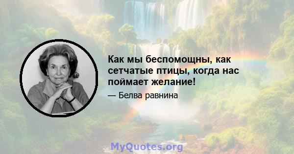 Как мы беспомощны, как сетчатые птицы, когда нас поймает желание!