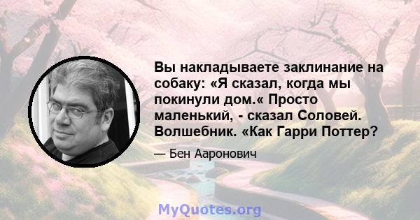 Вы накладываете заклинание на собаку: «Я сказал, когда мы покинули дом.« Просто маленький, - сказал Соловей. Волшебник. «Как Гарри Поттер?