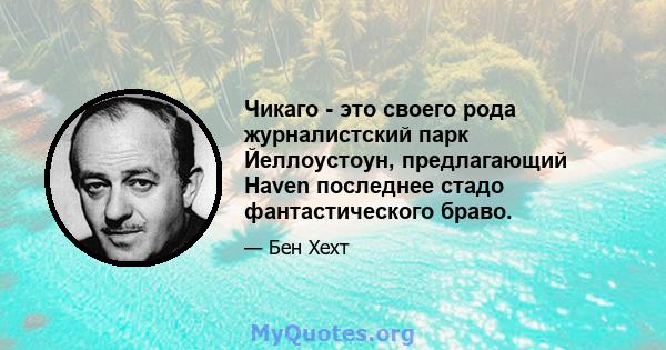 Чикаго - это своего рода журналистский парк Йеллоустоун, предлагающий Haven последнее стадо фантастического браво.