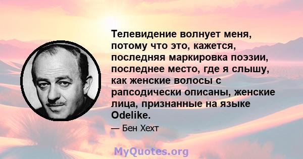 Телевидение волнует меня, потому что это, кажется, последняя маркировка поэзии, последнее место, где я слышу, как женские волосы с рапсодически описаны, женские лица, признанные на языке Odelike.