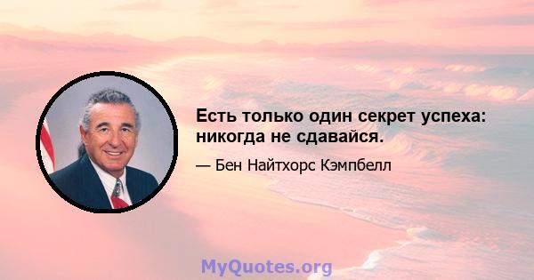 Есть только один секрет успеха: никогда не сдавайся.