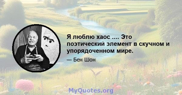 Я люблю хаос .... Это поэтический элемент в скучном и упорядоченном мире.