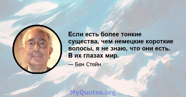 Если есть более тонкие существа, чем немецкие короткие волосы, я не знаю, что они есть. В их глазах мир.