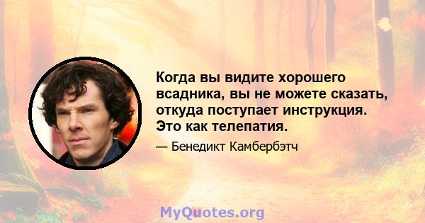 Когда вы видите хорошего всадника, вы не можете сказать, откуда поступает инструкция. Это как телепатия.