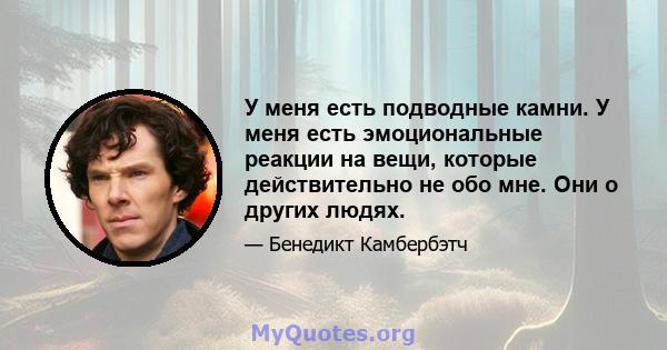 У меня есть подводные камни. У меня есть эмоциональные реакции на вещи, которые действительно не обо мне. Они о других людях.