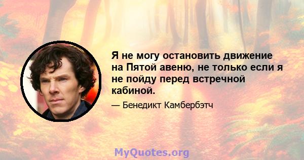 Я не могу остановить движение на Пятой авеню, не только если я не пойду перед встречной кабиной.