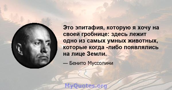 Это эпитафия, которую я хочу на своей гробнице: здесь лежит одно из самых умных животных, которые когда -либо появлялись на лице Земли.