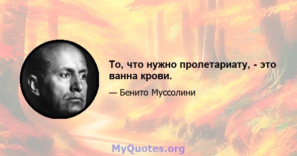 То, что нужно пролетариату, - это ванна крови.