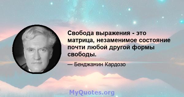 Свобода выражения - это матрица, незаменимое состояние почти любой другой формы свободы.