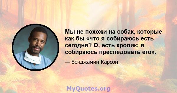 Мы не похожи на собак, которые как бы «что я собираюсь есть сегодня? О, есть кролик; я собираюсь преследовать его».