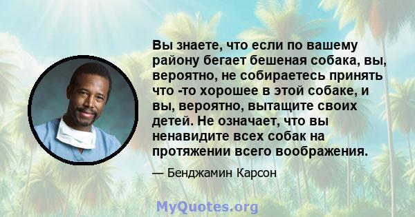 Вы знаете, что если по вашему району бегает бешеная собака, вы, вероятно, не собираетесь принять что -то хорошее в этой собаке, и вы, вероятно, вытащите своих детей. Не означает, что вы ненавидите всех собак на