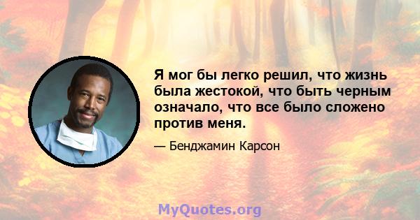 Я мог бы легко решил, что жизнь была жестокой, что быть черным означало, что все было сложено против меня.