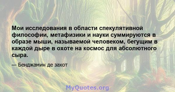 Мои исследования в области спекулятивной философии, метафизики и науки суммируются в образе мыши, называемой человеком, бегущим в каждой дыре в охоте на космос для абсолютного сыра.