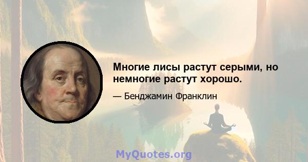 Многие лисы растут серыми, но немногие растут хорошо.