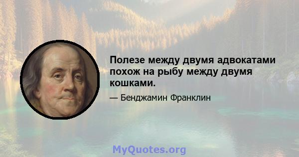 Полезе между двумя адвокатами похож на рыбу между двумя кошками.