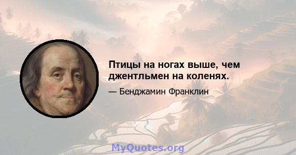 Птицы на ногах выше, чем джентльмен на коленях.