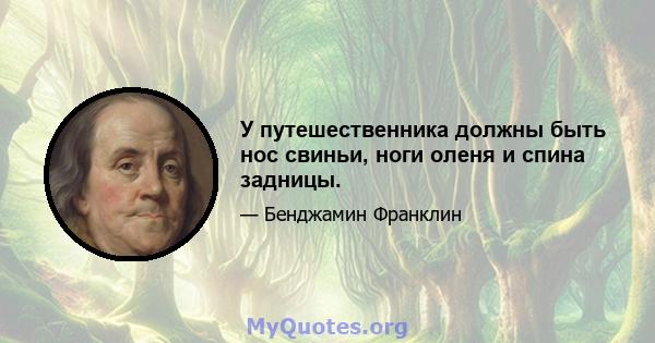 У путешественника должны быть нос свиньи, ноги оленя и спина задницы.