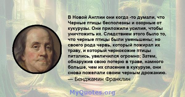 В Новой Англии они когда -то думали, что Черные птицы бесполезны и озорные от кукурузы. Они приложили усилия, чтобы уничтожить их. Следствием этого было то, что черные птицы были уменьшены; но своего рода червь, который 