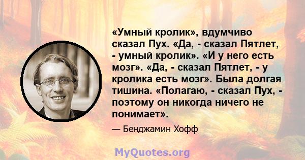 «Умный кролик», вдумчиво сказал Пух. «Да, - сказал Пятлет, - умный кролик». «И у него есть мозг». «Да, - сказал Пятлет, - у кролика есть мозг». Была долгая тишина. «Полагаю, - сказал Пух, - поэтому он никогда ничего не