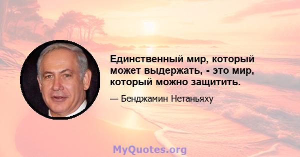 Единственный мир, который может выдержать, - это мир, который можно защитить.